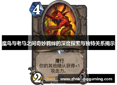 魔鸟与老马之间奇妙羁绊的深度探索与独特关系揭示